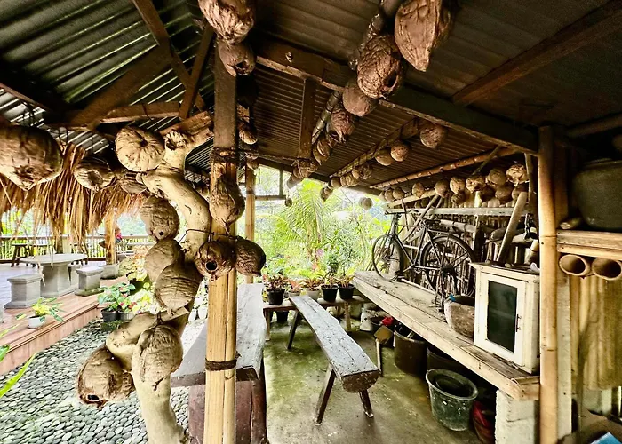 Nang Taro * Penginyahan